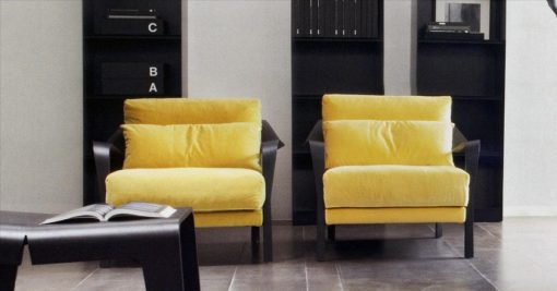 Кресло Cityloft LIGNE ROSET 17230100 - 2011